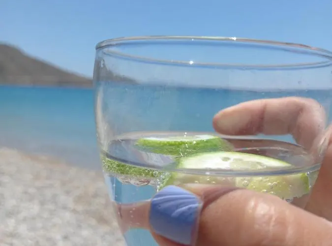 Ege Masalı Butik Otel * Palamutbükü